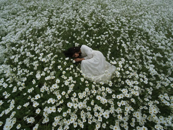 White Anemone Field -  - Wondermint