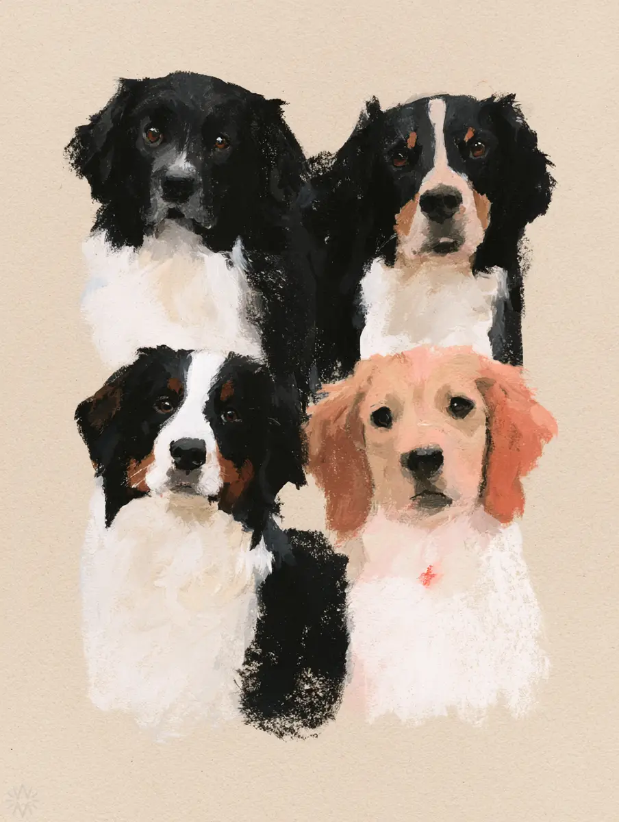 Dogs - undefined - Wondermint